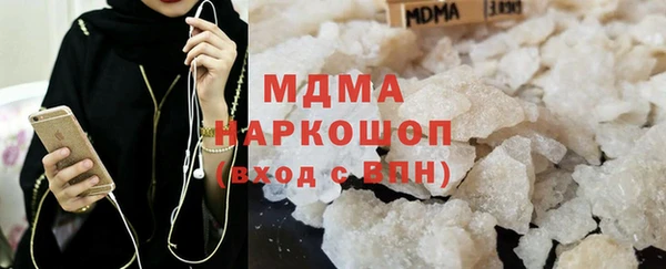 прущие грибы Новозыбков
